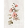 thumbnail image 2 of Nan 12x14 White Modern Wood Framed Museum Art Print Titled - Blushing Sweetly I, 2 of 4
