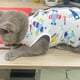 thumbnail image 3 of Ropa de rehabilitación para gatos después de una cirugía Ropa anti-lamidos para mascotas, 3 of 7