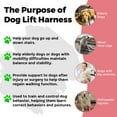 thumbnail image 4 of MAXLAPTER Dog Lift Harness Large Small Medium Sized Dogs,Dog Sling Support Harness Rear for Back Legs,Medium, 4 of 9