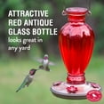 thumbnail image 3 of Perky-Pet 18 oz Daisy Vase Vintage Glass Hummingbird Feeder, 3 of 18