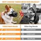 thumbnail image 3 of Mascarilla para Perros Vevor Nailon Suave Negro S, 3 of 5
