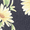 Black Daisy, variant on No Boundaries Heart Casual Trifold Wallet, Black