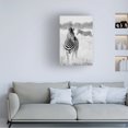 thumbnail image 2 of Canvas Wall Art - Hannes Bertsch 'Zebra Bw' Wall Art for Living Room, Bedroom, or Office Décor by Trademark Fine Art - 16 x 24 Inches, 2 of 4