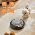 thumbnail image 3 of iPettie  Donuts Frost 6 Meal Cordless Automatic Pet Feeder, Dry & Wet Food Automatic Cat Feeder with Two Ice Packs Black, 3 of 5