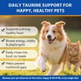 thumbnail image 4 of Taurine for Dogs and Cats Supports Healthy Vision, Heart, Immune System, Digestive Balance 7.05 oz, 4 of 11