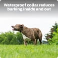 thumbnail image 4 of Bark Collar Premier Pet, impermeable y recargable para perros, 4 of 6