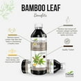 thumbnail image 4 of Bamboo Leaf Extract 12fl.oz - Natural Silica Supplement for Hair, Skin & Nails Beauty, Organic Bamboo Leaves - Herbal Goodness, 4 of 8