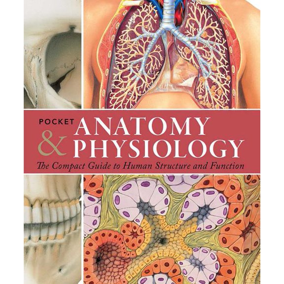 Pocket Anatomy & Physiology : The Compact Guide to the Human Body and How It Works (Paperback)