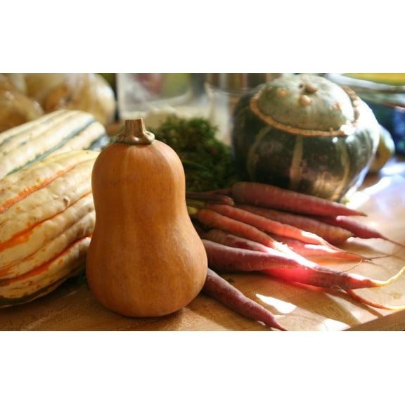 Honeynut Butternut Winter Squash Premium Seeds Packet
