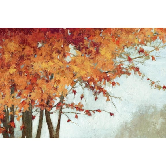 Art.com Fall Canopy I Art Print by Andrew Michaels, 24" x 16"