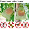 thumbnail image 3 of 100Pcs Bunch Protection Bag 20X15Cm Raisin Fruit Organza Bag Compatible with Avec Cordon Donne Une Protection Totale, 3 of 5