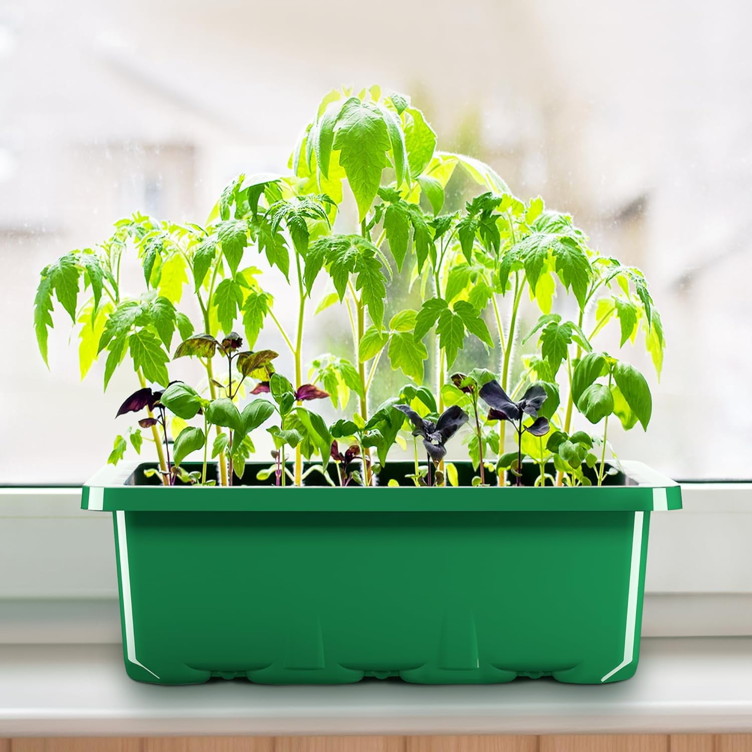 10 Packs Seed Starter Tray Seed Starter Kit with Humidity Dome (120 Cells Total Tray) Seed Starting Trays Plant Starter Kit and Base Mini Greenhouse Germination Kit for Seeds Growing Starting Green