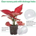 thumbnail image 6 of 36 Packs 5/4/3.5 Inch Reinforced Clear Nursery Pots with Drainage Hole, Transparent Variety Pack Plastic Plant Pot Seedling Planter Seed Starter Flower 20pcs Labels, 6 of 8