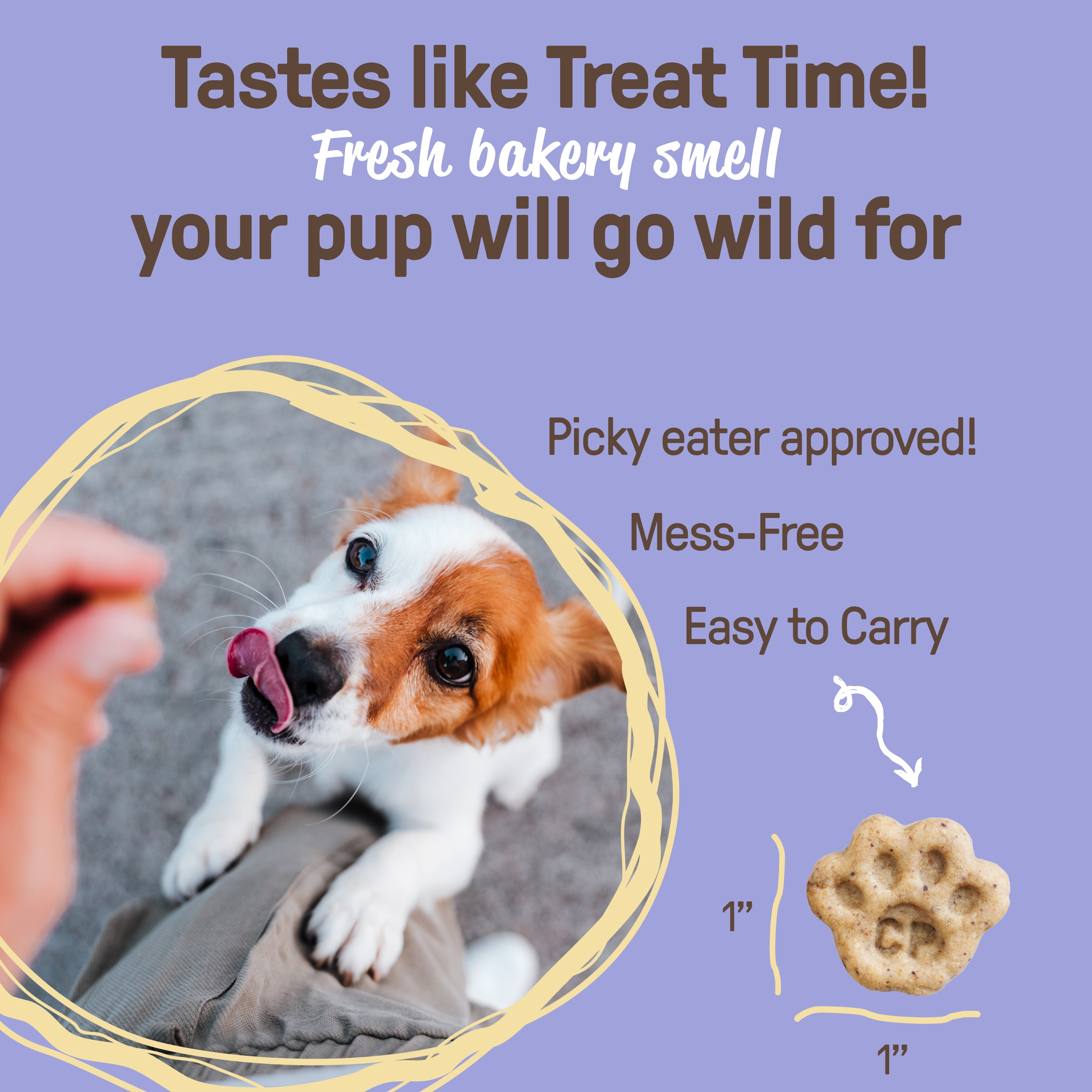 COOKIE PAL Blueberry & Pumpkin Soft Baked Bites Human Grade and Organic Dog Treats 250g, COOKIE PAL B&P 250g