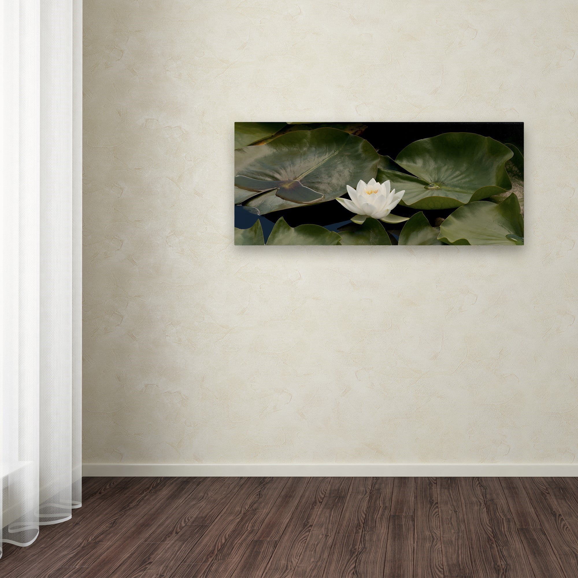 Trademark Fine Art "One White Water Lily" Canvas Art by Kurt Shaffer