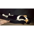 thumbnail image 3 of Manet, Edouard 18x11 Black Modern Framed Museum Art Print Titled - The Dead Toreador, 3 of 5