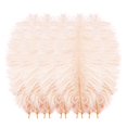 thumbnail image 3 of 10 PCS Ostrich Feathers,Bulk Soft Natural Feathers for Crafts Centerpieces Party Wedding Home Decorations Dream Catchers Vases (Orange 8-9.8 Inch), 3 of 4