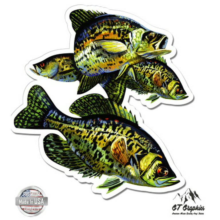 Honch Vinyl Go Fishing Stickers 50 Pcs Pack Blue Stickers Fly Fishing Decals  Bass Fishing Stickers for Laptop Ipad Car Luggage Water Bottle Helmet Truck  