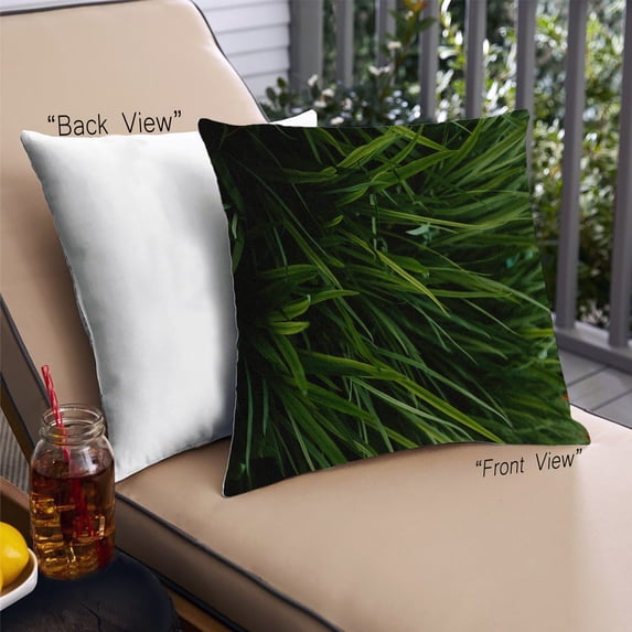 Ahgly Company Plants Grass Outdoor Throw Pillow, 18 inch by 18 inch
