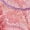 Pink, variant on Levmjia Women Underwear Lace High Waist Panties Plus Size Thin Mesh Seamless Breathable Comfortable Tummy Control Daily Wear Sleep