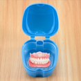 thumbnail image 5 of Estuche de Dentadura , Copa con Colador, Caja BañO Almacenamiento Dientes Falsos Cesta Soporte Contenedor Neto para Viajes, 5 of 5