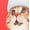 Santa Cats, variant on Not So Suit Suit Men's Christmas Holiday Blazer and Tie