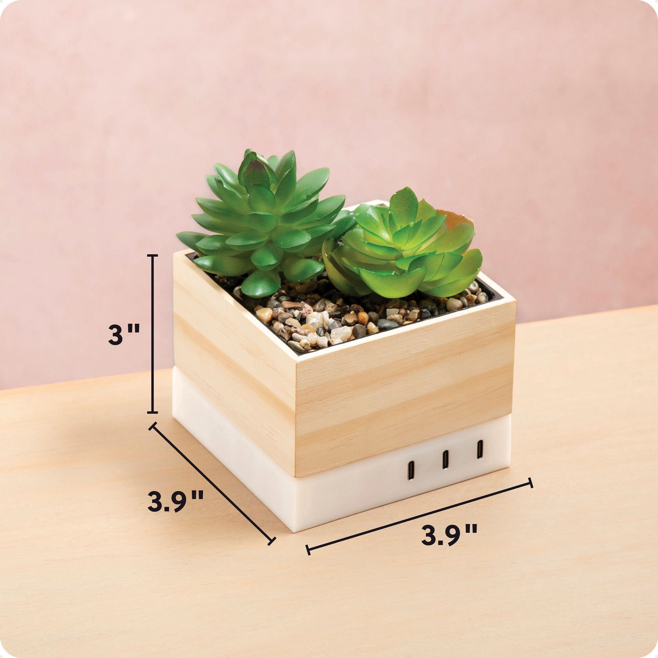 U Brands Desktop Charging Organizer, 5.4 x 3.9 x 3.9“, Succulent
