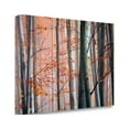 thumbnail image 2 of Tangletown Fine Art 'Autumn Woods' Graphic Art Print on Wrapped Canvas, 2 of 2