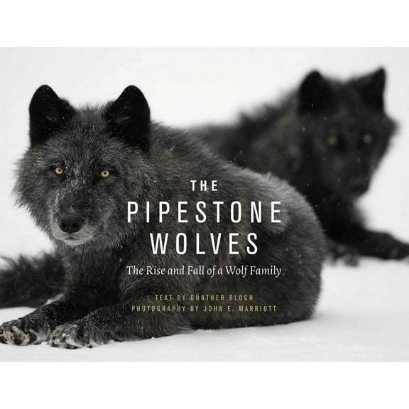 The Pipestone Wolves: The Rise and Fall of a Wolf Family, (Paperback)