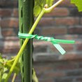 thumbnail image 2 of CIMAXIC 500Pcs Green Reusable Garden Fixing Ties Bendable Plant Bindings for Home Use, 2 of 8