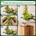 thumbnail image 4 of 4Pcs Moss Pole 23.6” Reusable Plastic Plant Pole Stick Transparent Plant Support Weather Resistant Moss Stick, 4 of 10