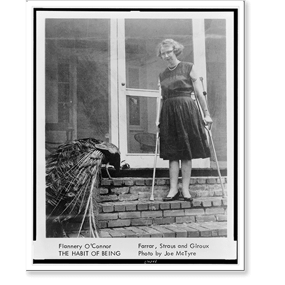 Historic Print, Flannery O'Connor. The Habit of being.photo by Joe McTyre., 16" x 20"