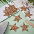 thumbnail image 4 of 12 parches de diamantes de imitación con estampado de leopardo y pentagrama de 8,5 x 8,9 cm, con forma de estrella de cinco puntas, para planchar, para reparar ropa, 4 of 5