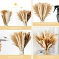 thumbnail image 6 of 110 Pcs Natural Pampas Grass Bouquet Decor Boho Home Decor Dried Reed Flowers Bouquet for Wedding Floral Arrangements Wall Bathroom Décor, 6 of 7