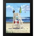 thumbnail image 2 of Westmoreland, Scott 12x14 Black Modern Framed Museum Art Print Titled - Pelican Perch, 2 of 5