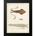 thumbnail image 2 of Dekay 15x18 Black Modern Framed Museum Art Print Titled - Ocean Curiosities II, 2 of 5