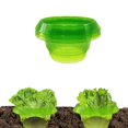 thumbnail image 5 of Collares Antibabosas para Proteger Plantas de Caracoles y Babosas (15 Unidades), 5 of 5