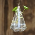 thumbnail image 2 of Terrario colgante de cristal con forma de gota de agua y flores, contenedor para decoración del hogar y el jardín, botella de cristal, 2 of 8