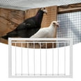 thumbnail image 1 of Bird Housettrap,Iron Birdcages t trap Birdcagesttrap Bird Housettrap Solid Performance, 1 of 9
