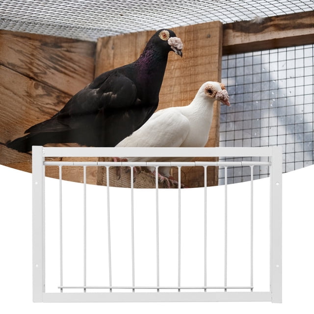 Bird Housettrap,Iron Birdcages t trap Birdcagesttrap Bird Housettrap Solid Performance