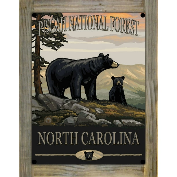 Pisgah National Forest North Carolina Black Bear Family Metal Print on