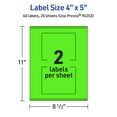 thumbnail image 6 of Avery Printable Rectangle Labels, Neon Green, 4" x 5", 40ct, 6 of 11