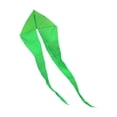 thumbnail image 1 of Kids Delta Kite Kite Ligero fácil de volar 21.3ft 650 cm Outdoor portátil Verde, 1 of 8