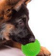 thumbnail image 4 of Pelota de juguete para perros HUOGUO Squeakers Ball, bola puntiaguda, bola chirriante, 10 cm, 4 of 5