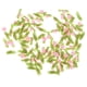 thumbnail image 4 of pieza de 100's Ribbon Flower Scrapbooking DIY Craft Decoraciones para, 4 of 7