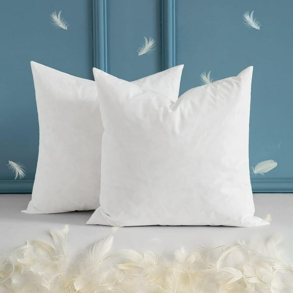 Set of 2 24x24 Inches Throw Pillow Inserts, Down and Feather Cotton Decorative Pillows, Square Sham Stuffer for Sofa Couch Cushion Living Room