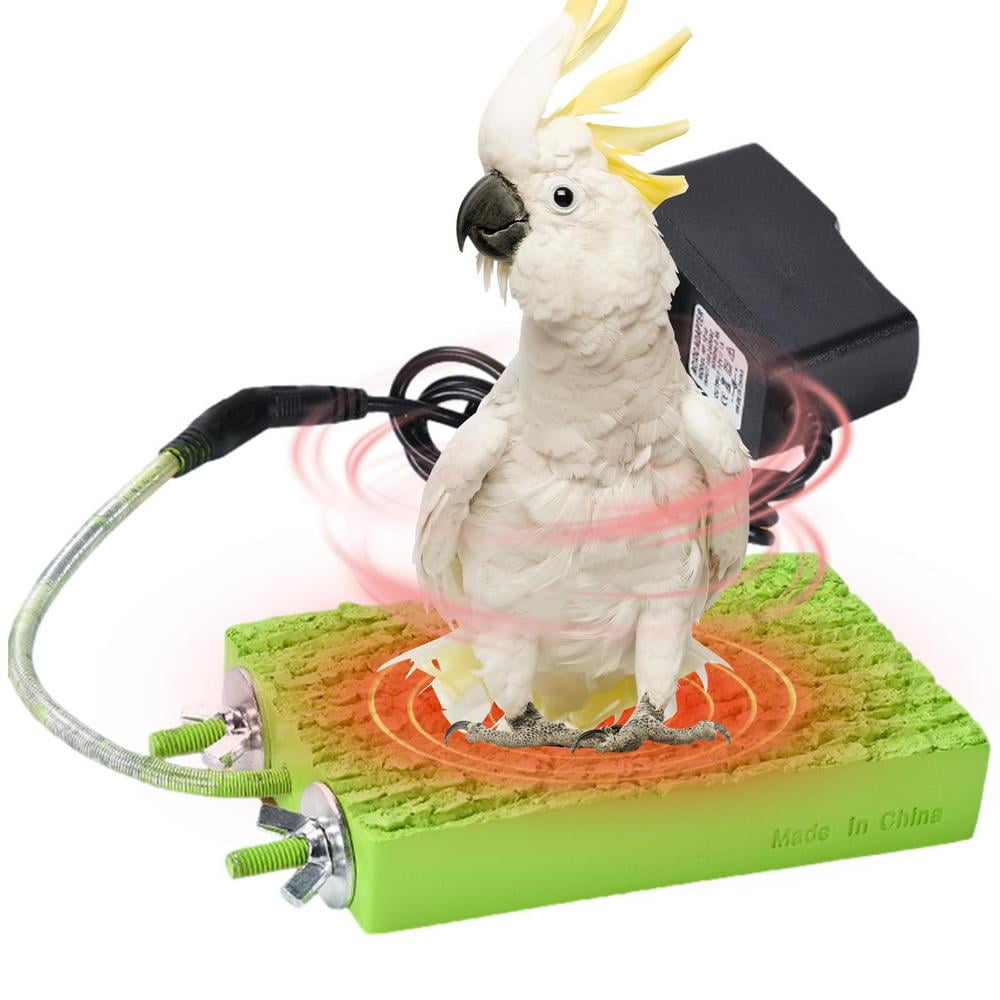 Are Bird Toys Safe For Chinchillas