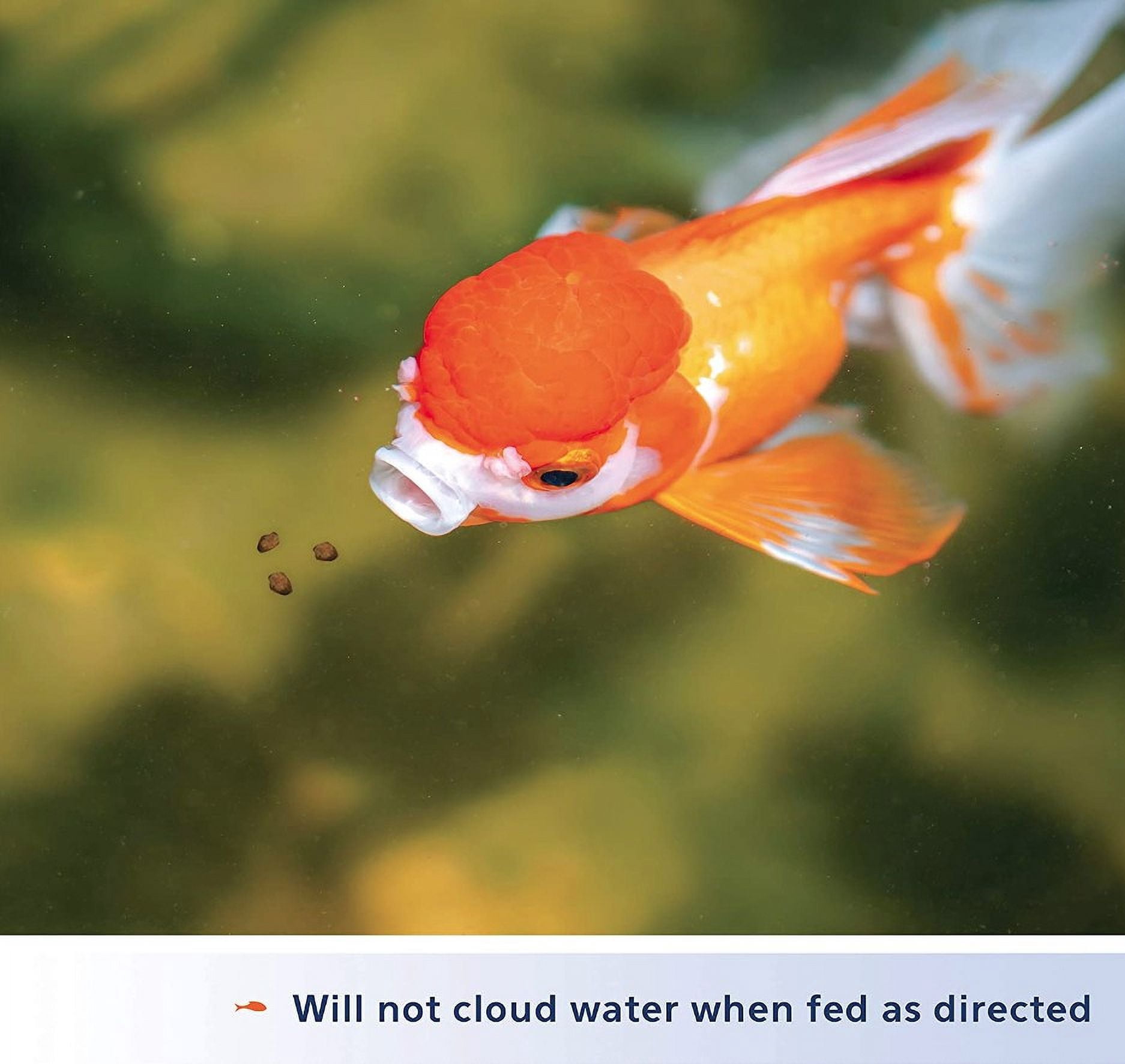 Aqueon Goldfish Granules Slow Sinking Fish Food Daily Nutrition for All Goldfish and Other Pond Fish [Aquarium Goldfish Food, Aquarium Supplies] 34.8 oz (6 x 5.8 oz)
