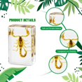 thumbnail image 5 of Real Insect in Resin Block, Clear Paperweight for Desk Display, Science Education, Collection, 5 of 8