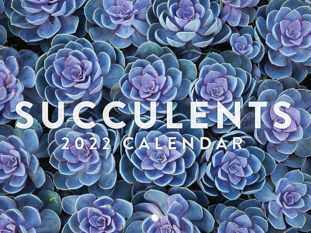 Succulent Calendar 2023 Monthly Wall Hanging Calendars House Plant